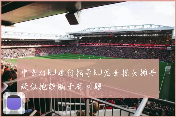 申京对KD进行指导KD无奈摇头摊手疑似抱怨脑子有问题