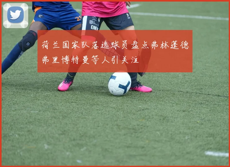 荷兰国家队落选球员盘点弗林蓬德弗里博特曼等人引关注